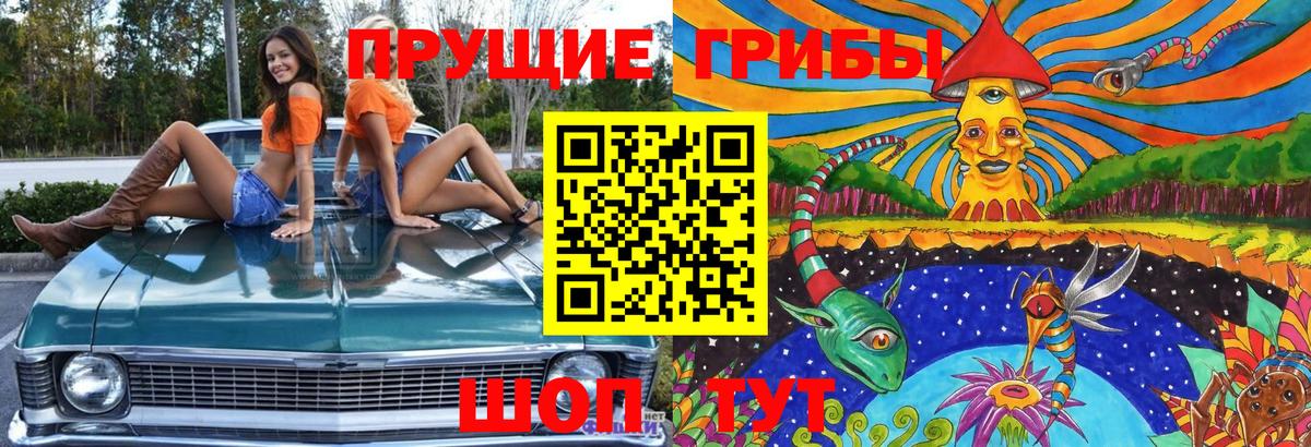 Галлюциногенные грибы GOLDEN TEACHER Юрга