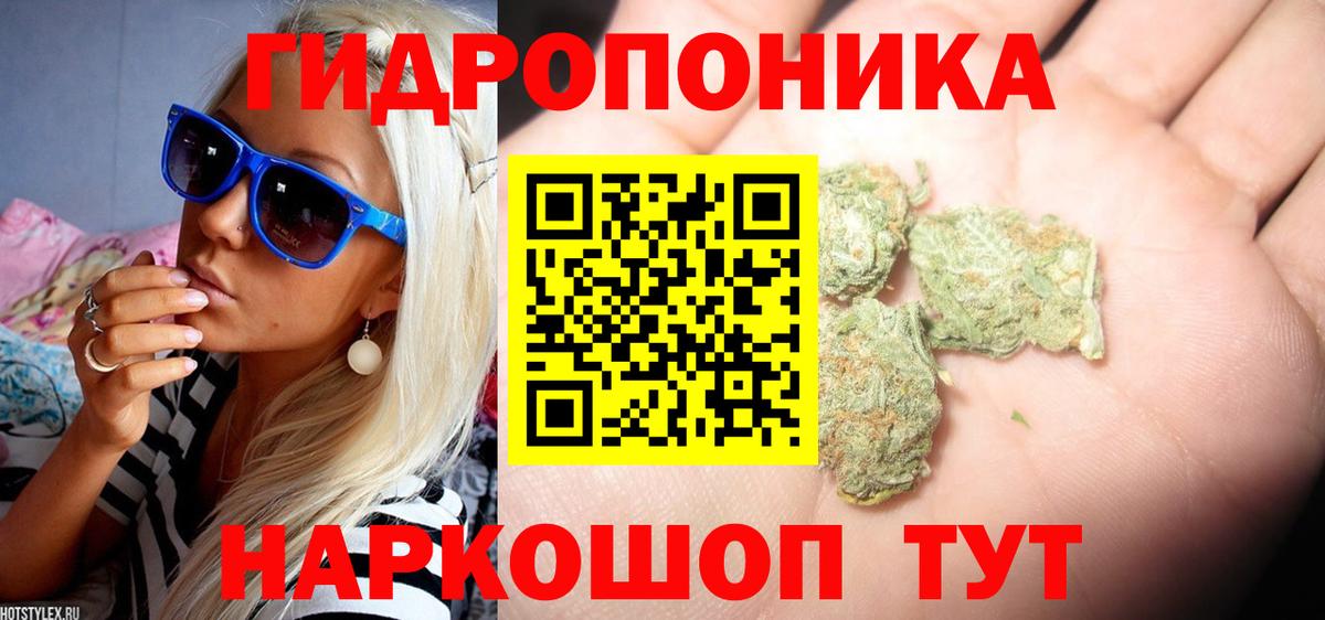 Марихуана конопля Юрга